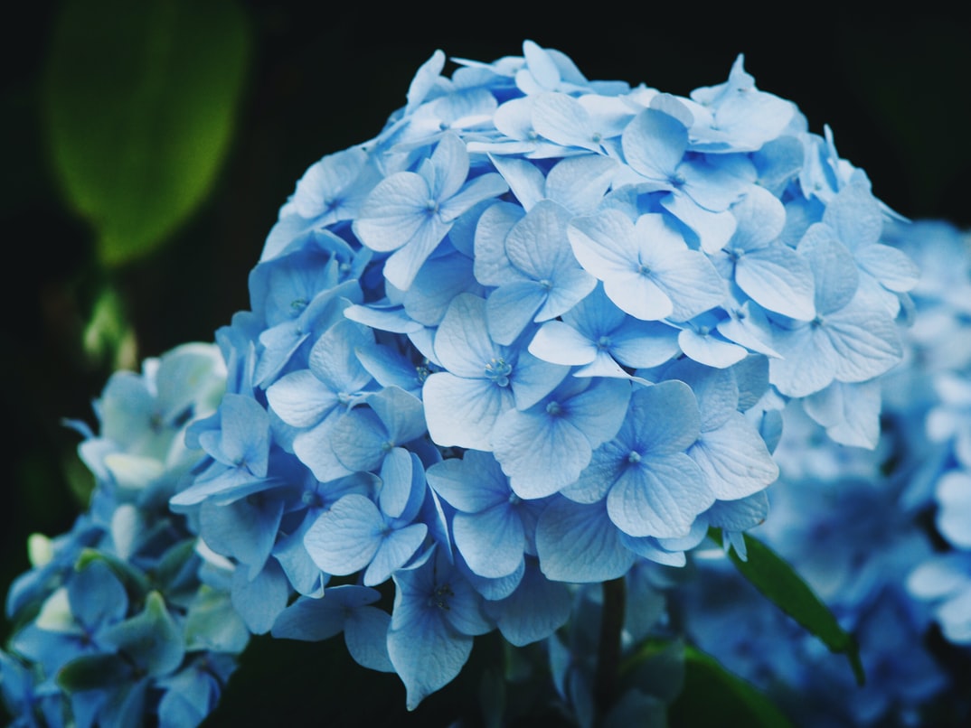 酒店兼差遇警察臨檢時該如何應對與自我保護 - 相关图片 关于酒店兼差遇警察臨檢時該如何應對與自我保護的插图