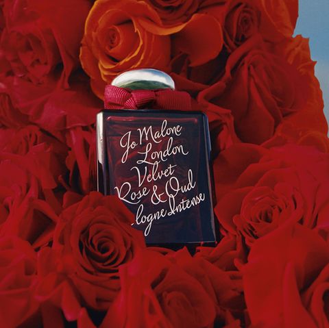 酒店兼差真實心聲：學姐分享夜場工作的點滴示意图